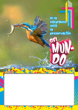 Almanaque Fauna Papel ¼ 